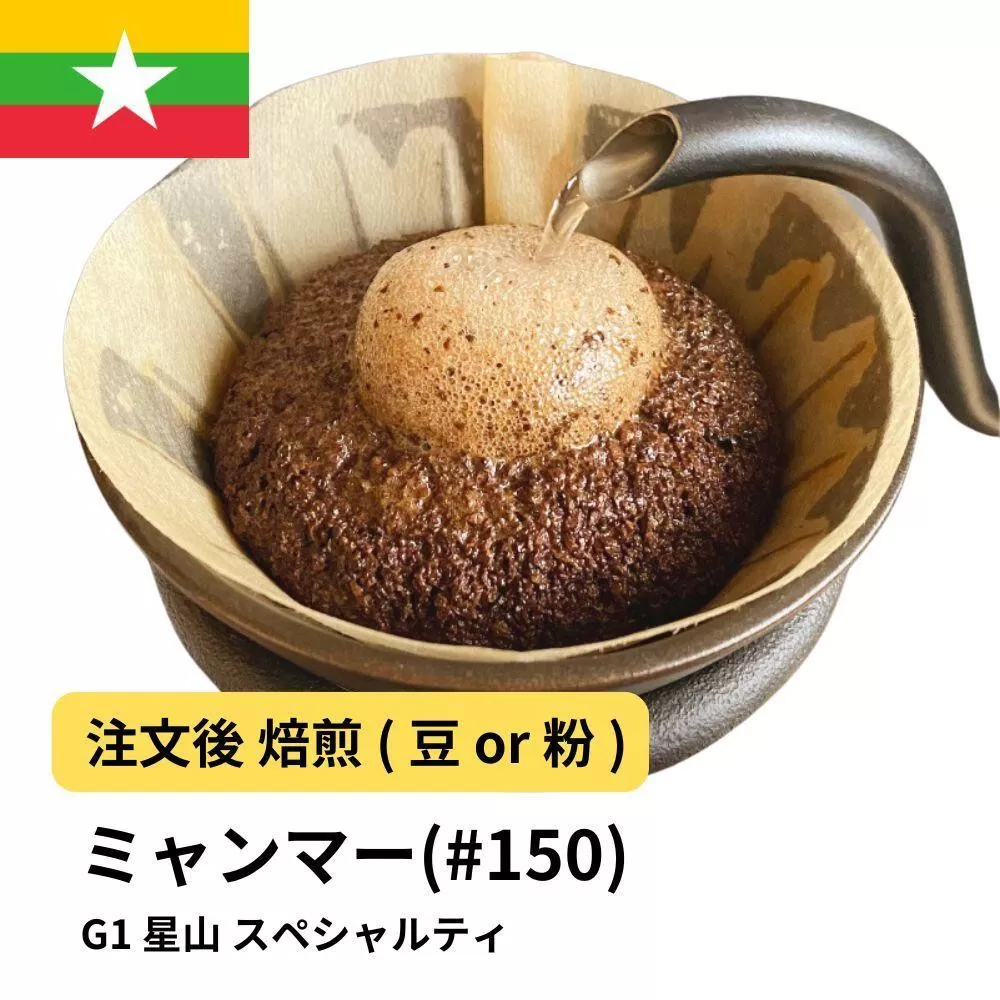 【粉】コーヒー #150 ミャンマー G1 星山 310g 当日焙煎 大山珈琲