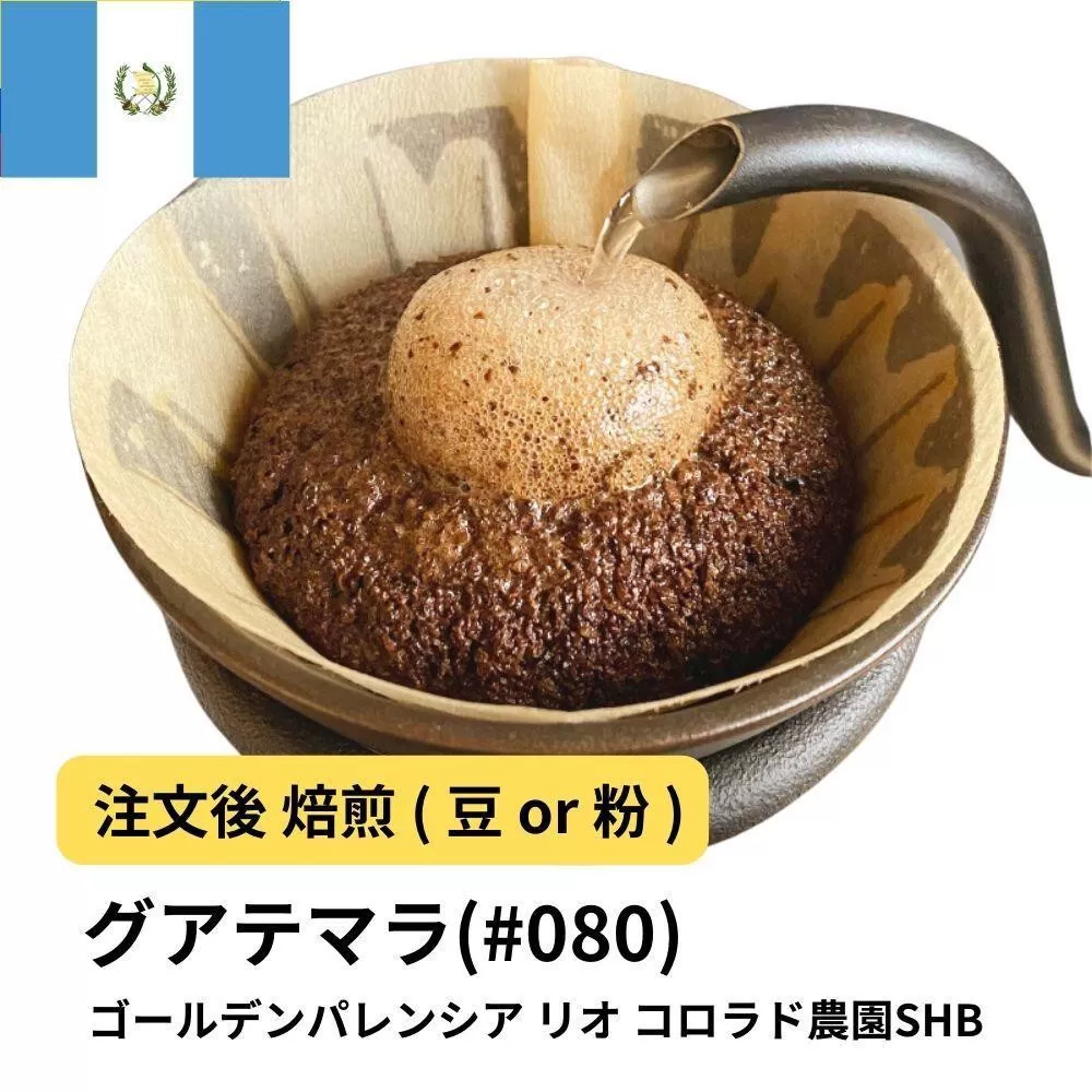 【粉】コーヒー #080 グアテマラ ゴールデンパレンシア リオ コロラド農園SHB 310g 当日焙煎 大山珈琲