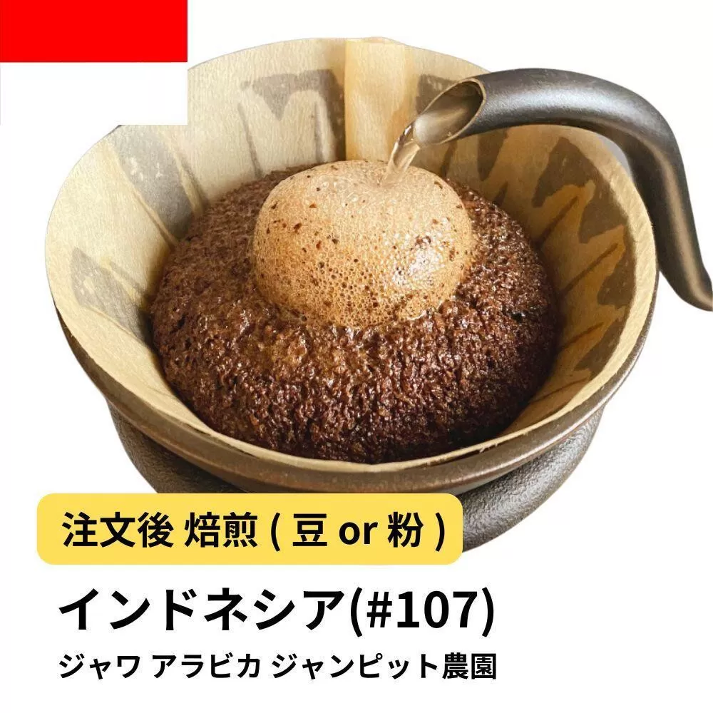 【豆】コーヒー #107 ジャワ アラビカ ジャンピット農園 310g 当日焙煎 大山珈琲