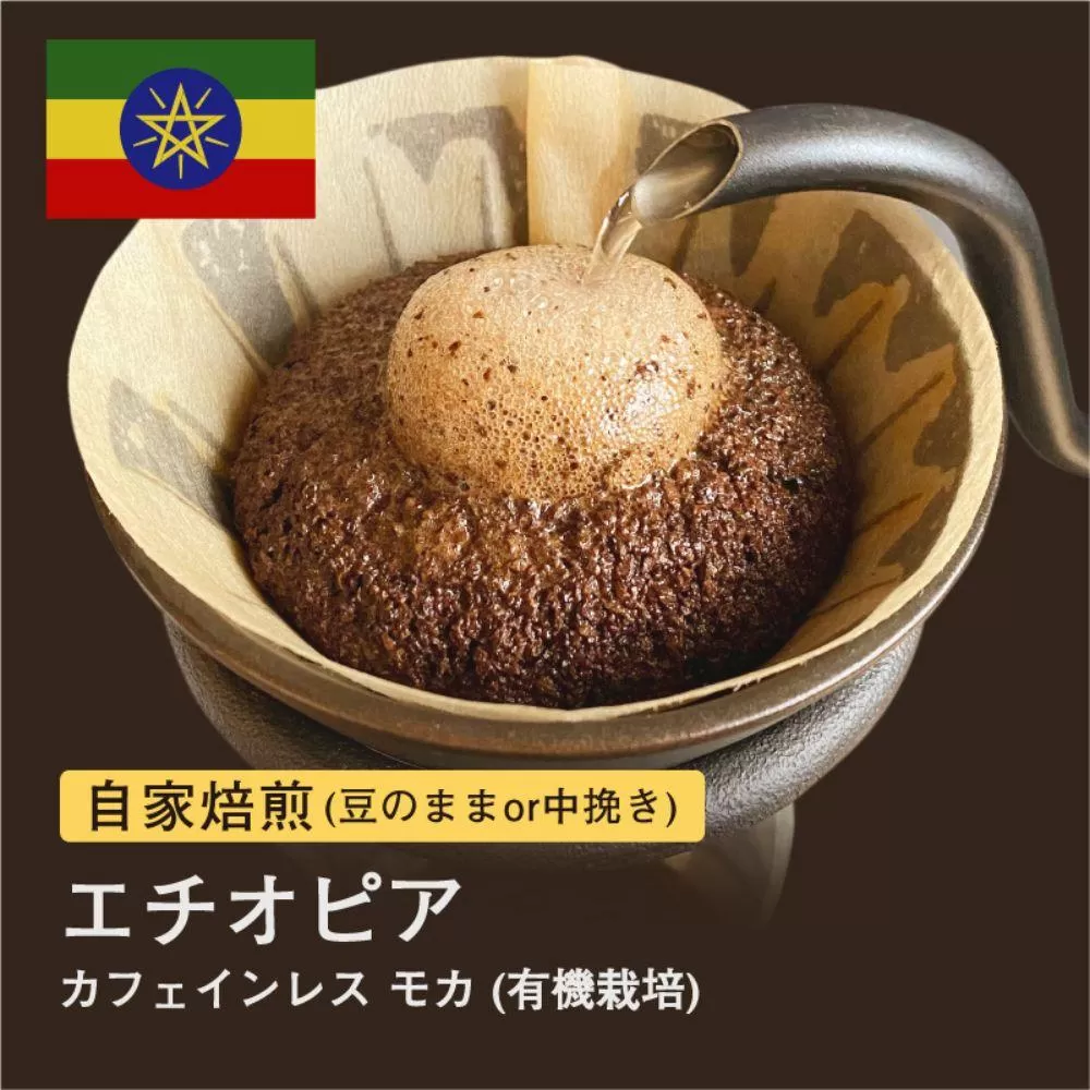【粉】#103 カフェインレス モカ コーヒー豆 310g 当日焙煎 大山珈琲