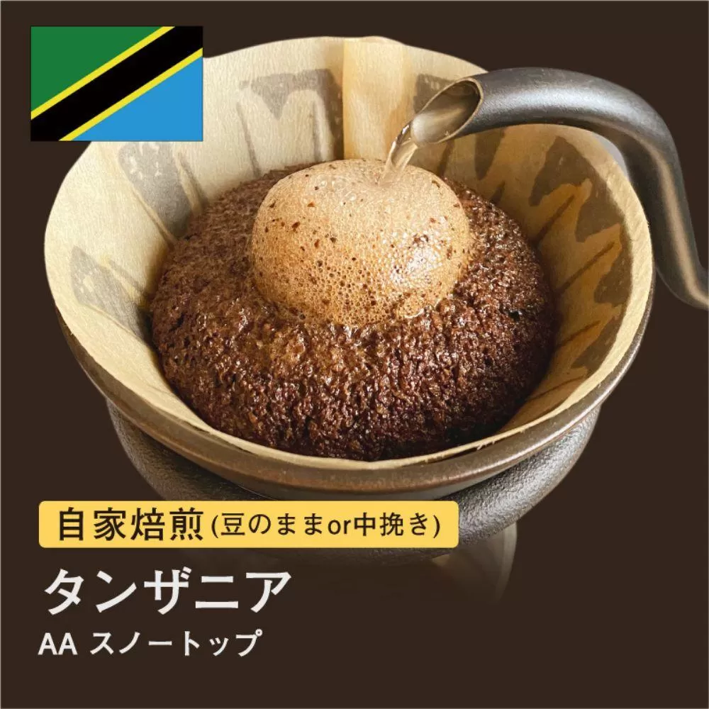 【粉】#008 タンザニア AA スノートップ コーヒー豆 310g 自家焙煎 大山珈琲
