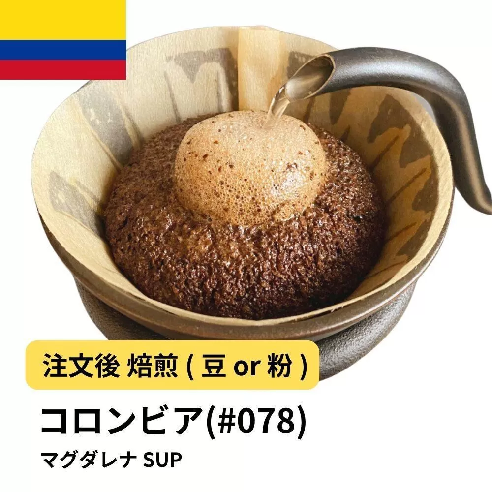【豆】コーヒー #078 コロンビア マグダレナ SUP 310g 当日焙煎 大山珈琲