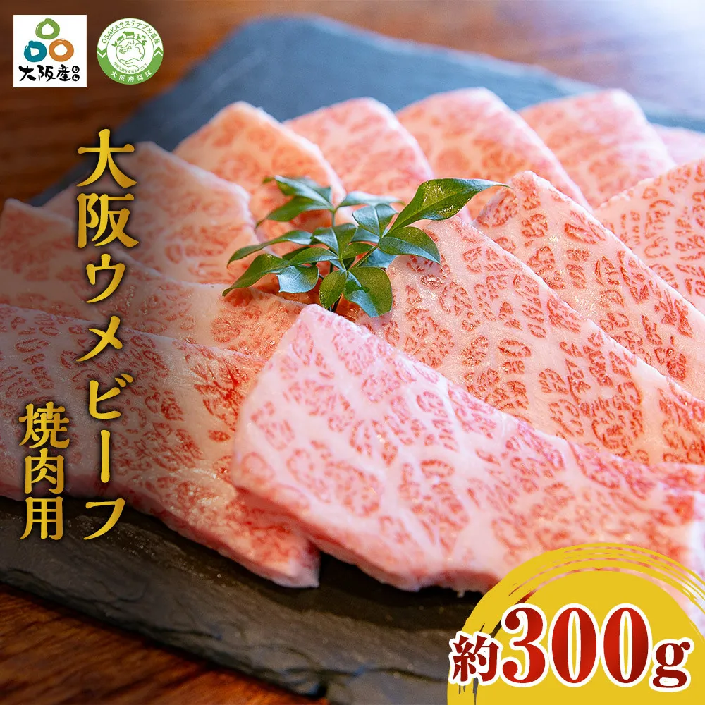 大阪ウメビーフ 焼肉用300g