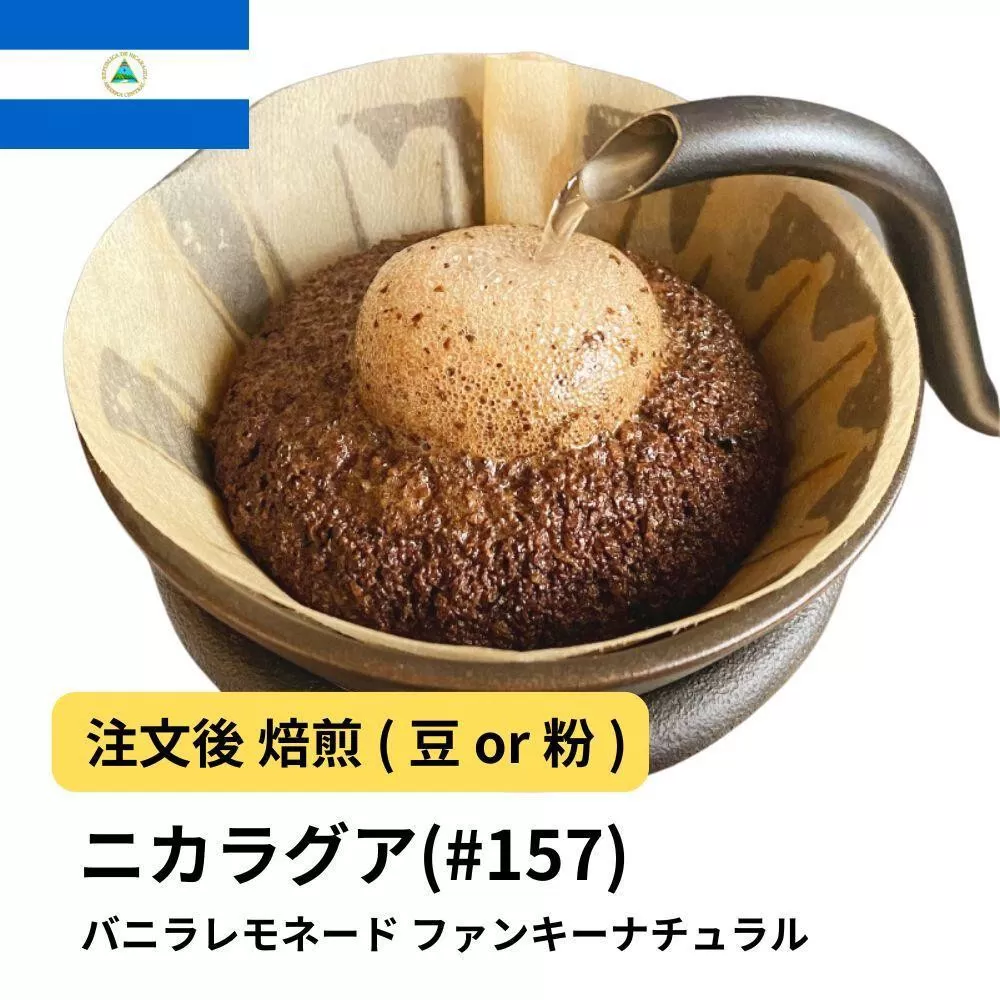 【豆】コーヒー #157 ニカラグア バニラレモネード リモンシリョ農園 ファンキーナチュラル 310g 当日焙煎 大山珈琲