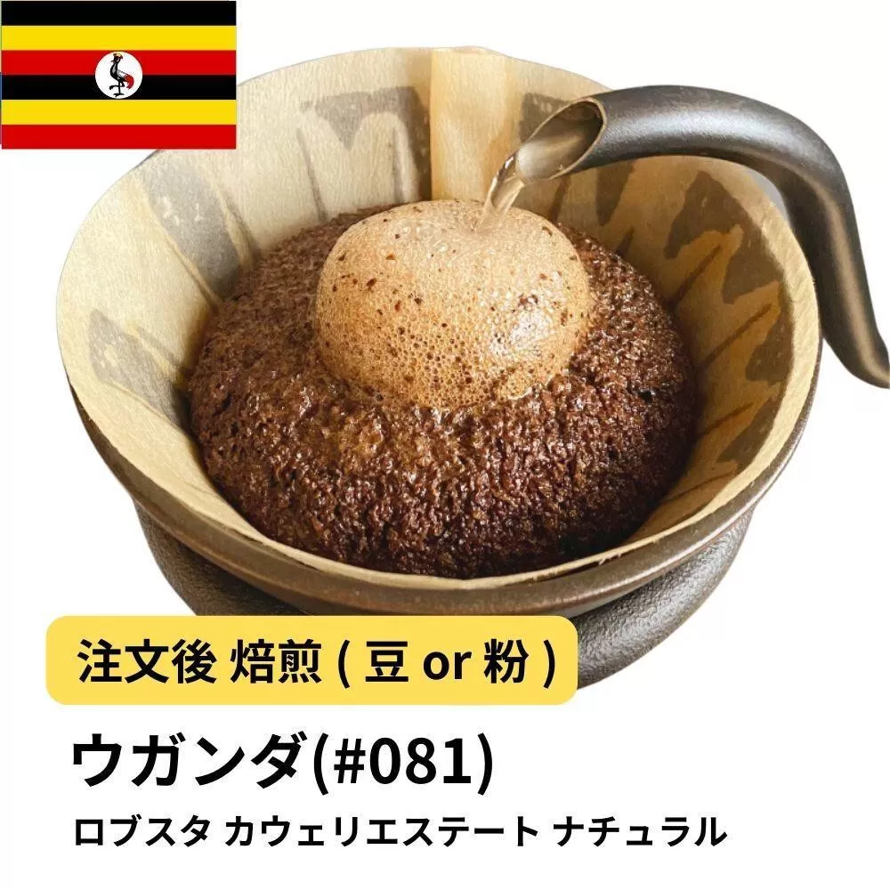 【粉】コーヒー #081 ウガンダ ロブスタ カウェリエステート ナチュラル 310g 当日焙煎 大山珈琲