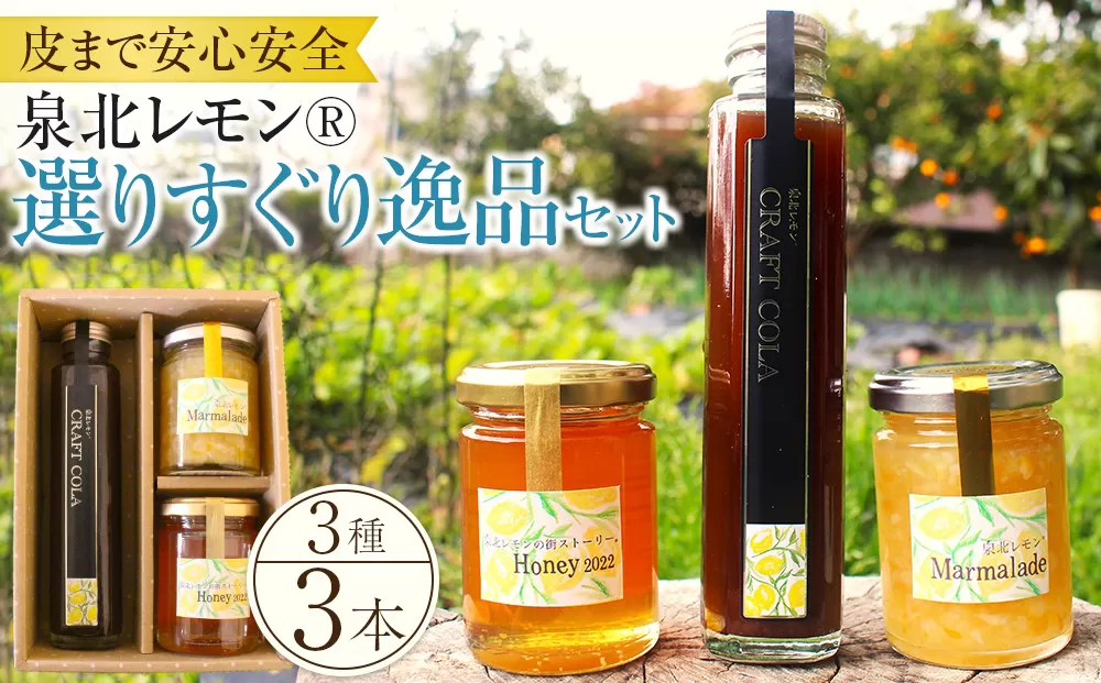 泉北レモン(R)選りすぐり逸品 3本セット