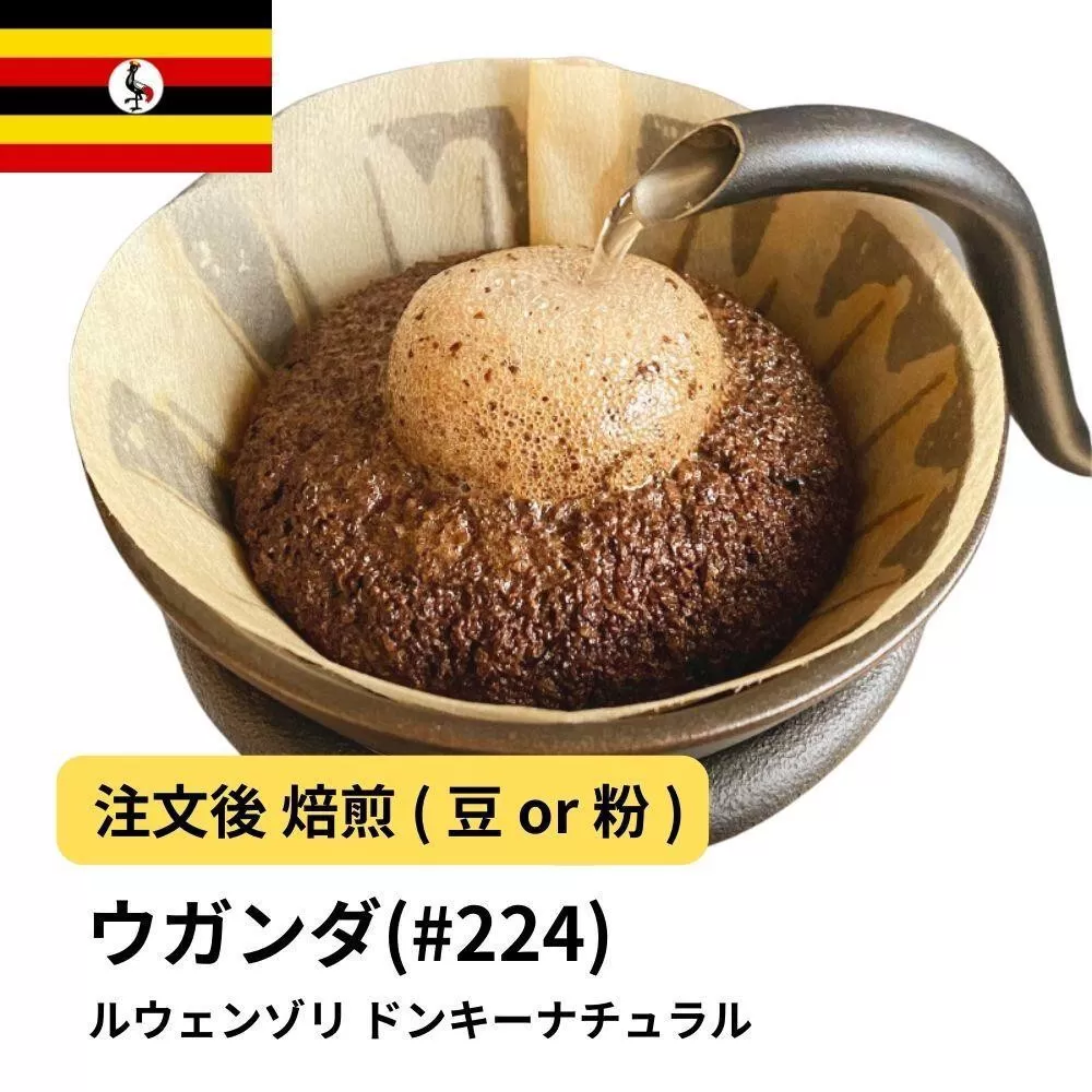 【粉】コーヒー #224 ウガンダ ルウェンゾリ ドンキーナチュラル 310g 当日焙煎 大山珈琲