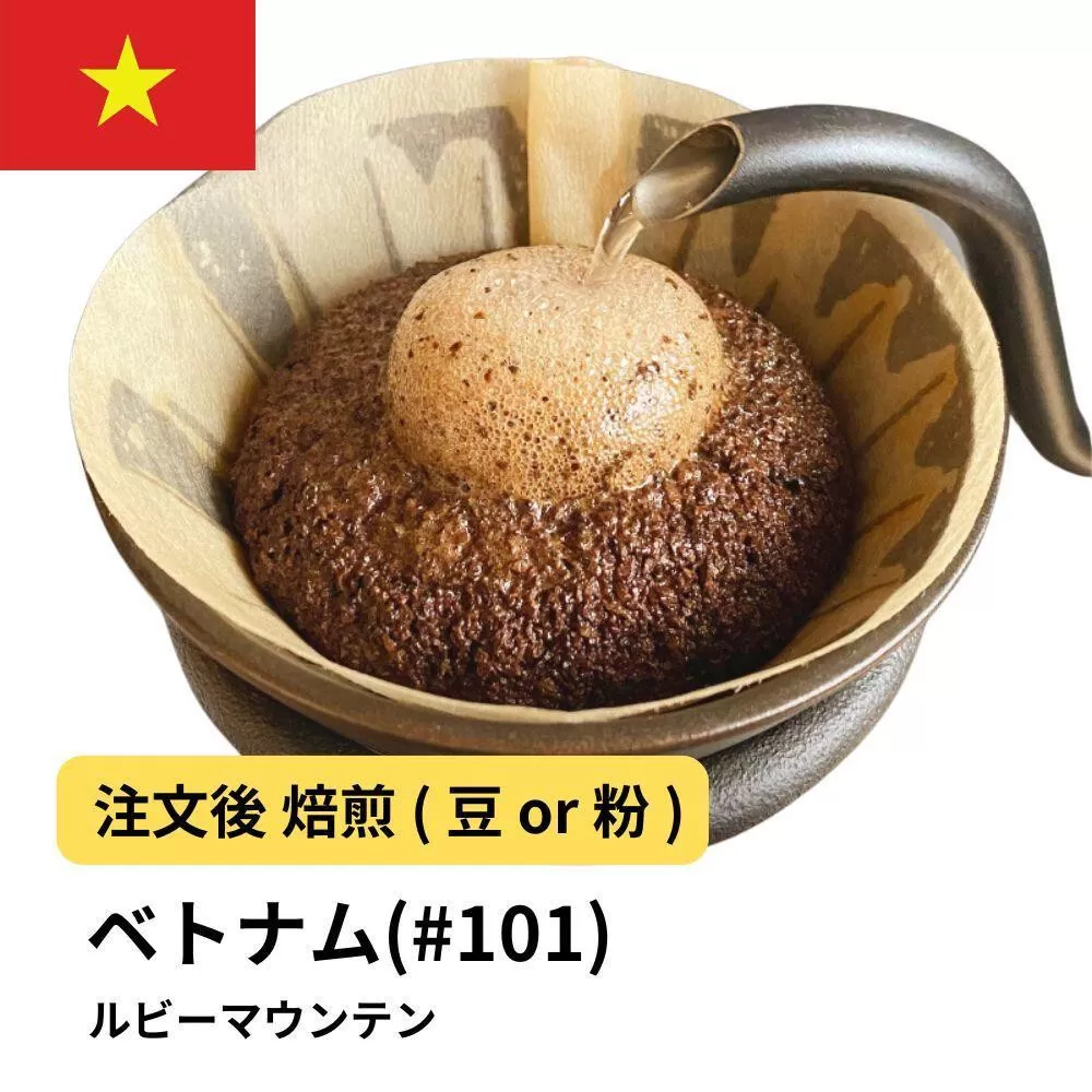 【豆】コーヒー #101 ルビーマウンテン （ベトナム アラビカ） 310g 当日焙煎 大山珈琲