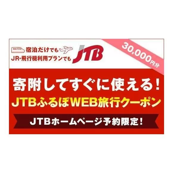 【堺市】JTBふるぽWEB旅行クーポン（30,000円分）