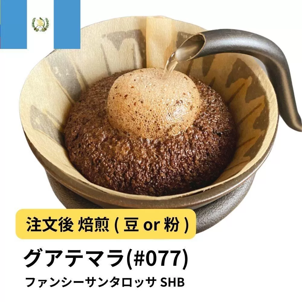 【豆】コーヒー #077 グアテマラ ファンシーサンタロッサ SHB 310g 当日焙煎 大山珈琲