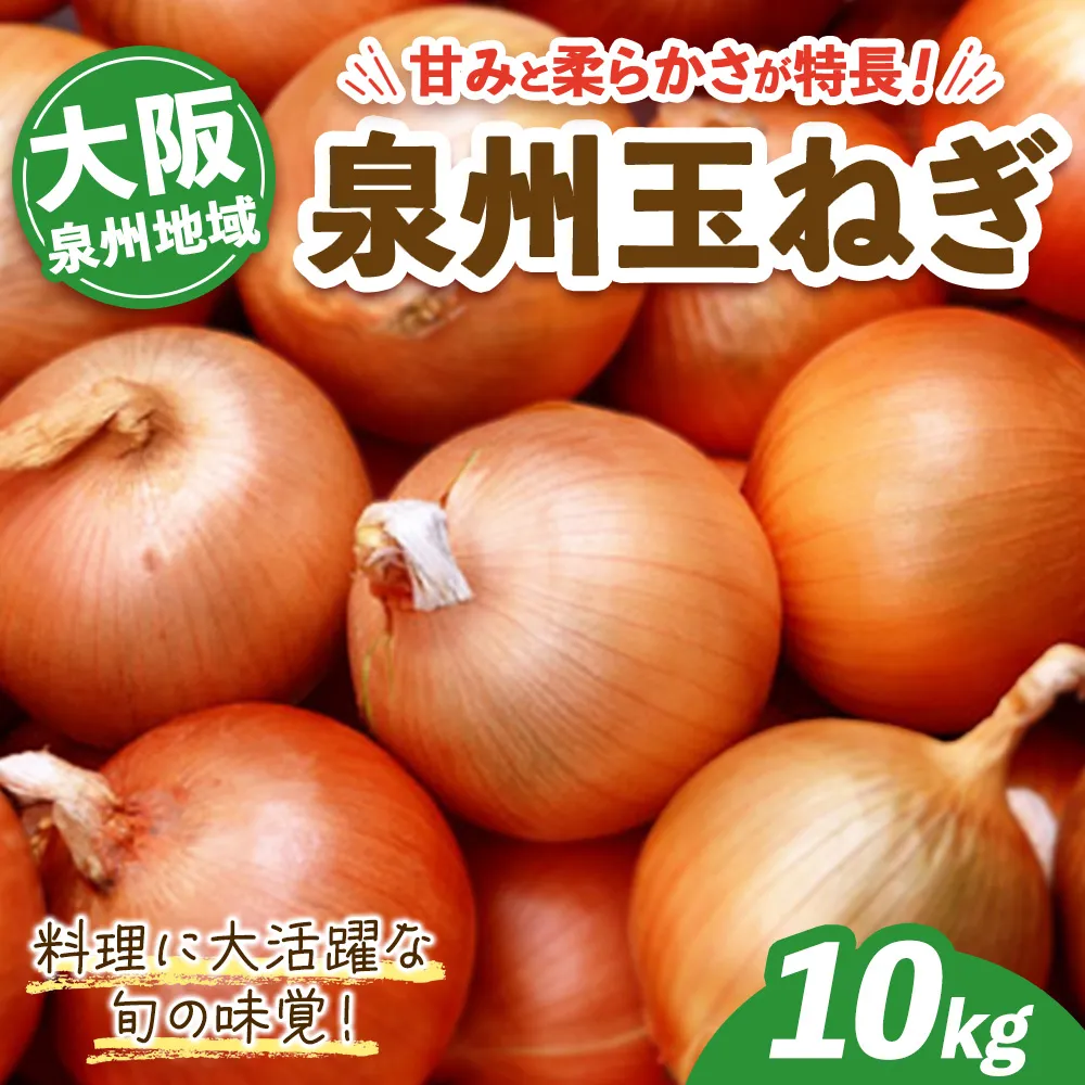 泉州玉ねぎ 10kg | 野菜 やさい 伝統野菜 泉州玉ねぎ たまねぎ 玉葱 ネギ 産地直送 大阪府 泉大津市 ※2026年7月～発送