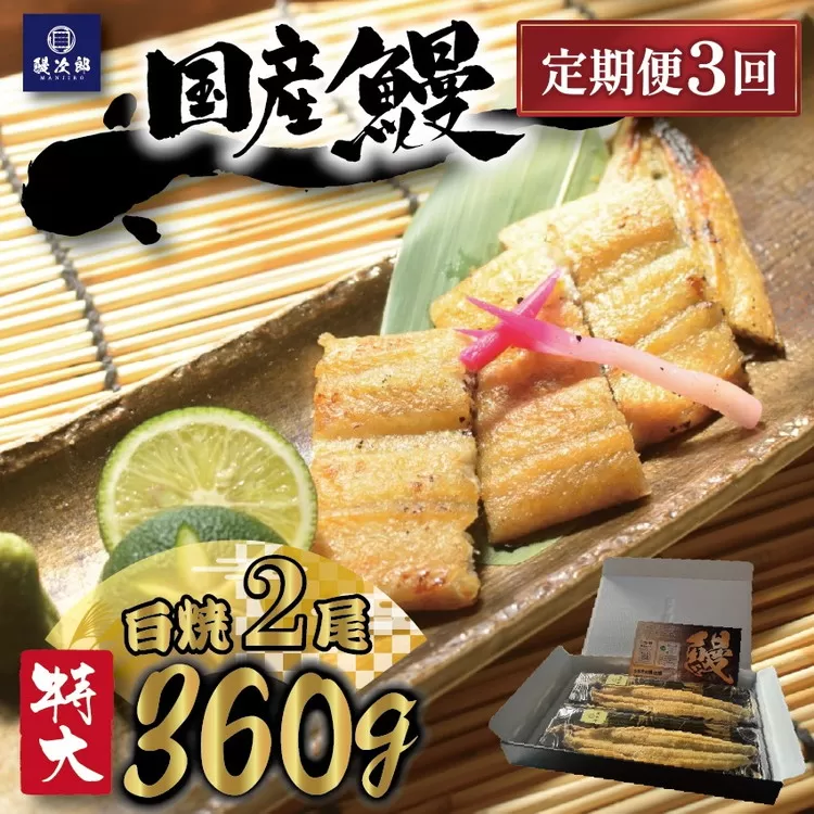 【定期便3ヶ月】[特大] 国産 関西風地焼き うなぎ【白焼】 2尾 360g以上 ｜ うなぎ 泉大津 鰻 蒲焼き 冷凍鰻 活鰻 鰻次郎 うな重 土用の丑の日 お取り寄せ 高級 うなぎの日 ウナギ unagi ※離島への配送不可