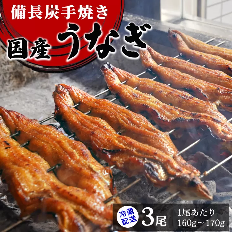 [冷蔵配送] 備長炭手焼き国産うなぎ3尾 (1尾あたり160g〜170g) ※北海道・沖縄・離島への配送不可 [3564]
