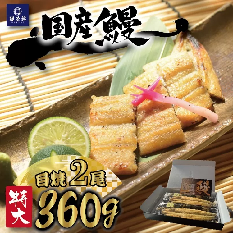 [特大] 国産 関西風地焼き うなぎ【白焼】2尾 360g以上 ｜ うなぎ 泉大津 鰻 蒲焼き 冷凍鰻 活鰻 鰻次郎 うな重 土用の丑の日 お取り寄せ 高級 うなぎの日 ウナギ unagi [4696] ※離島への配送不可