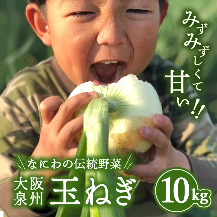幻のたまねぎ 泉州黄玉ねぎ 10kg | 野菜 やさい 伝統野菜 泉州玉ねぎ たまねぎ 玉葱 ネギ 産地直送 大阪府 泉大津市 ※北海道・沖縄・離島への配送不可 ※2026年5月上旬～6月下旬頃に順次発送予定