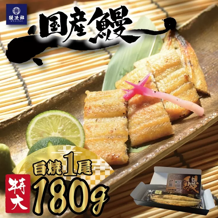 [特大] 国産 関西風地焼き うなぎ 1尾【白焼】1尾 180g以上 ｜ うなぎ 泉大津 鰻 蒲焼き 冷凍鰻 活鰻 鰻次郎 うな重 土用の丑の日 お取り寄せ 高級 うなぎの日 ウナギ unagi ※離島への配送不可