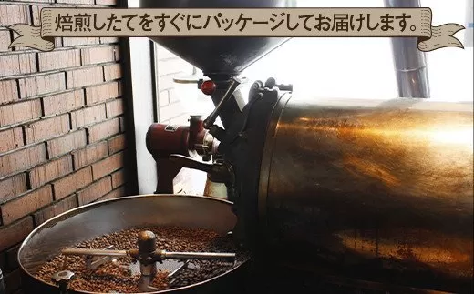 《定期便》焙煎仕立ての珈琲豆を毎月300gお届け (全4回) 合計1200g (豆のまま) [1574]