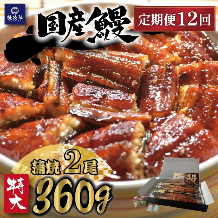 【定期便12ヶ月】 [特大] 国産 関西風地焼き うなぎ【蒲焼】2尾 360g以上 ｜ うなぎ 泉大津 鰻 蒲焼き 冷凍鰻 活鰻 鰻次郎 うな重 土用の丑の日 お取り寄せ 高級 うなぎの日 ウナギ unagi ※離島への配送不可