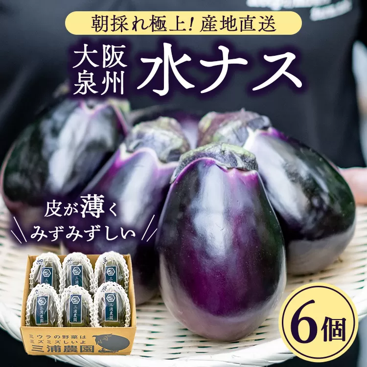 朝採り極上 生水なす 6個セット | 野菜 やさい 茄子 泉州水ナス 新鮮 朝採れ 産地直送 大阪府 泉大津市 ※北海道・沖縄・離島への配送不可