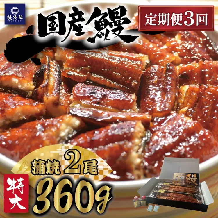 【定期便3ヶ月】 [特大] 国産 関西風地焼き うなぎ【蒲焼】2尾 360g以上 ｜ うなぎ 泉大津 鰻 蒲焼き 冷凍鰻 活鰻 鰻次郎 うな重 土用の丑の日 お取り寄せ 高級 うなぎの日 ウナギ unagi ※離島への配送不可