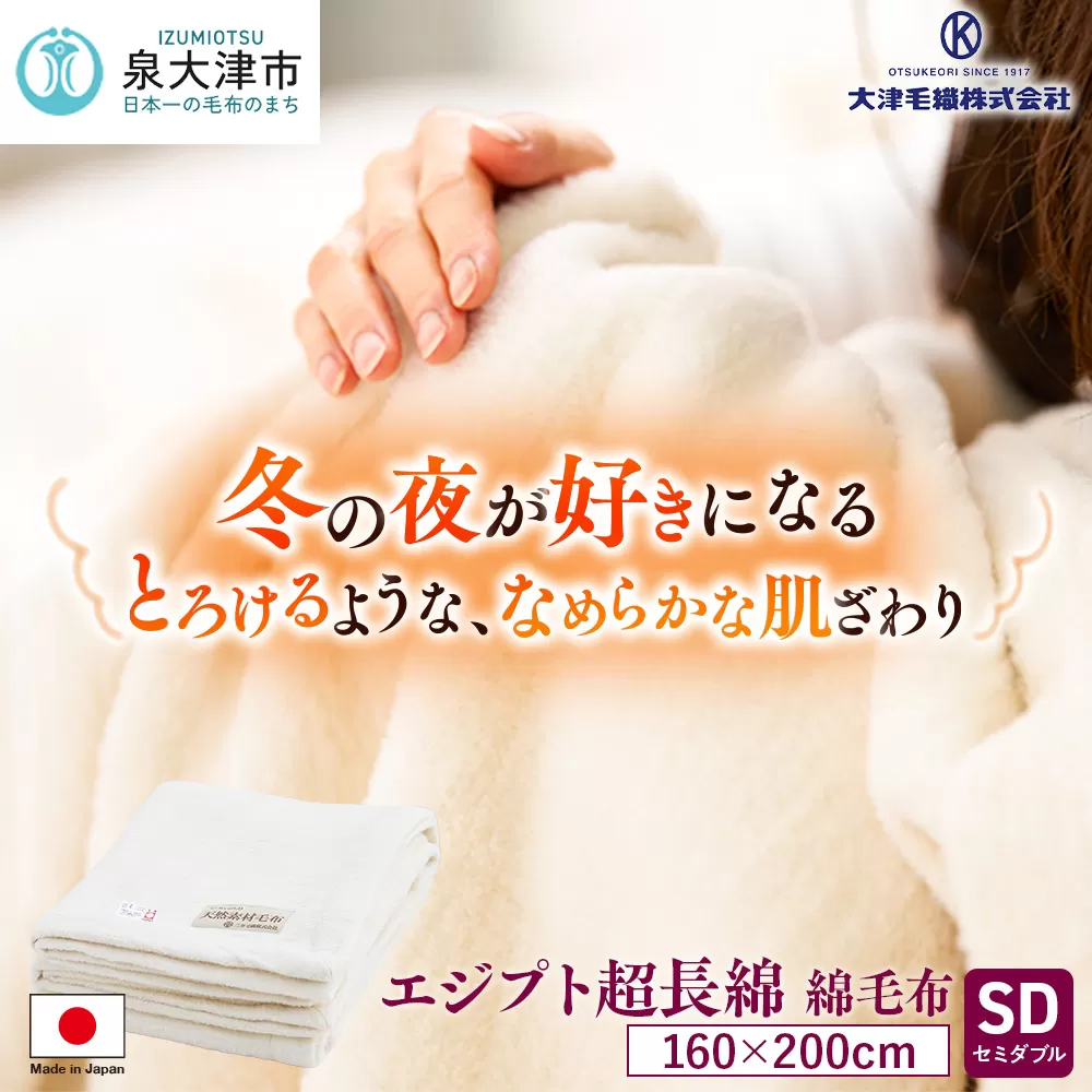 エジプト超長綿 綿毛布 セミダブル 160×200cm C555SD ナチュラル系 [4578]