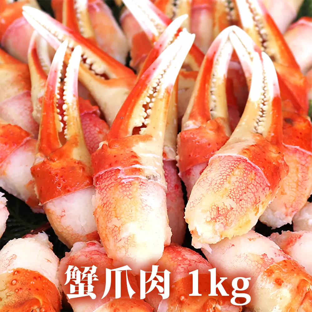 本ボイルズワイ蟹 爪肉 1kg [1619]