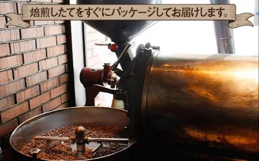 《定期便》焙煎仕立ての珈琲豆を毎月300gお届け (全3回) 合計900g (豆のまま) [1624]