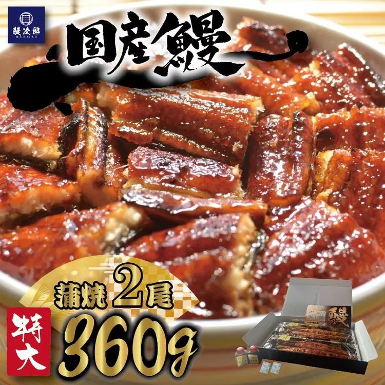 [特大] 国産 関西風地焼き うなぎ【蒲焼】2尾 360g以上 ｜ うなぎ 泉大津 鰻 蒲焼き 冷凍鰻 活鰻 鰻次郎 うな重 土用の丑の日 お取り寄せ 贈り物 ギフト 高級 うなぎの日 ウナギ unagi [4694] ※離島への配送不可