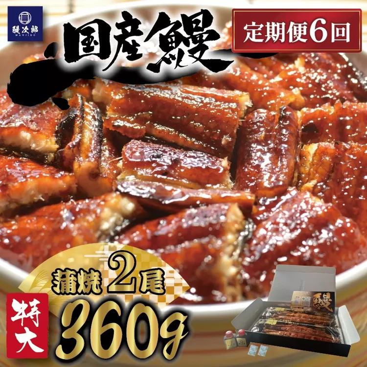 【定期便6ヶ月】 [特大] 国産 関西風地焼き うなぎ【蒲焼】2尾 360g以上 ｜ うなぎ 泉大津 鰻 蒲焼き 冷凍鰻 活鰻 鰻次郎 うな重 土用の丑の日 お取り寄せ 高級 うなぎの日 ウナギ unagi ※離島への配送不可