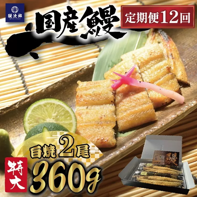【定期便12ヶ月】[特大] 国産 関西風地焼き うなぎ【白焼】 2尾 360g以上 ｜ うなぎ 泉大津 鰻 蒲焼き 冷凍鰻 活鰻 鰻次郎 うな重 土用の丑の日 お取り寄せ 高級 うなぎの日 ウナギ unagi ※離島への配送不可