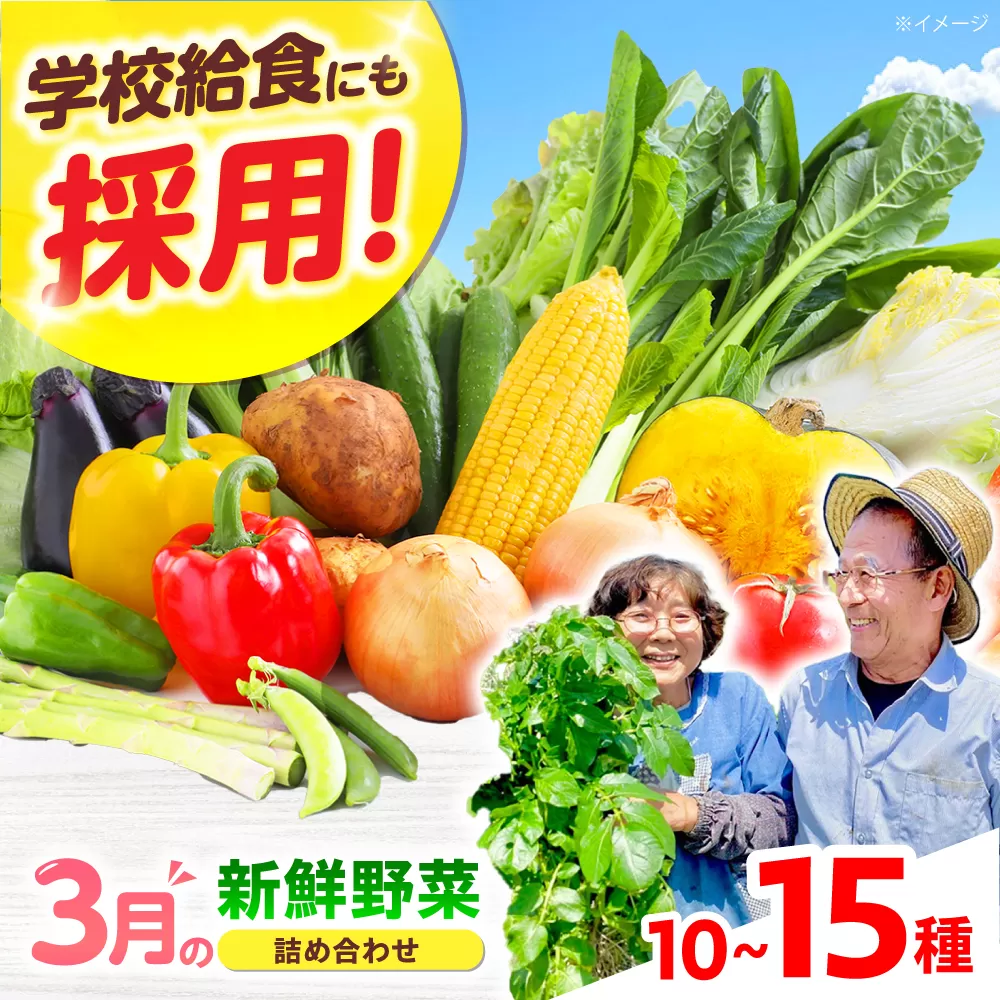 【数量限定】厳選！旬を味わう高槻野菜おまかせ詰め合わせセット 3月（10種〜15種）　大阪府高槻市/高槻あぐり [AOCS009] 新鮮 旬 人気 お取り寄せ 詰め合わせ