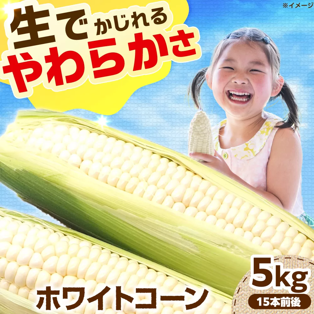 【6月頃発送予定】朝採れとうもろこし ホワイトコーン 5kg/15本前後 高槻市産 とうもろこし トウモロコシ コーン 甘い 野菜 新鮮 大阪府高槻市/高槻あぐり [AOCS029]