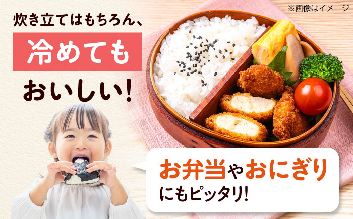 令和7年産 新米 キヌヒカリ 10キロ きぬひかり 新米 米 お米