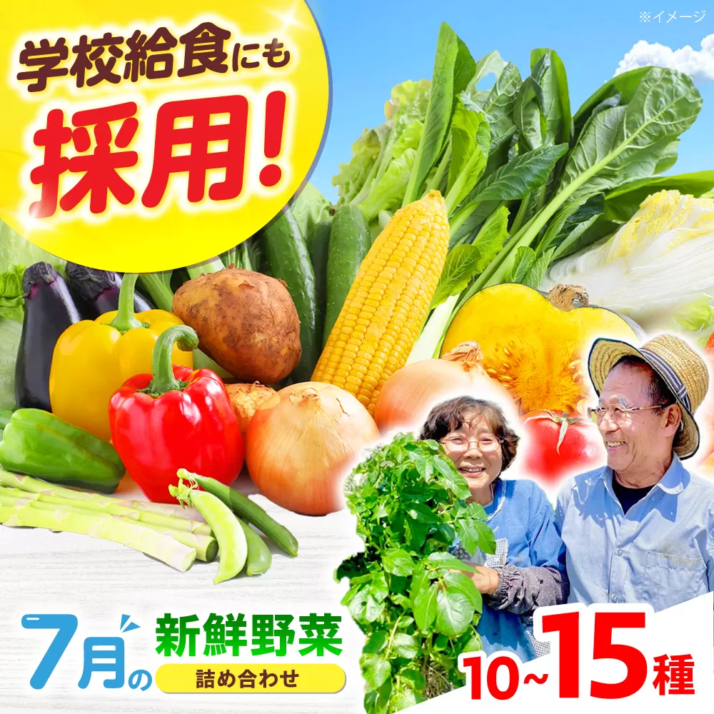 【数量限定】厳選！旬を味わう高槻野菜おまかせ詰め合わせセット 7月（10種〜15種）　大阪府高槻市/高槻あぐり [AOCS013] 新鮮 旬 人気 お取り寄せ 詰め合わせ