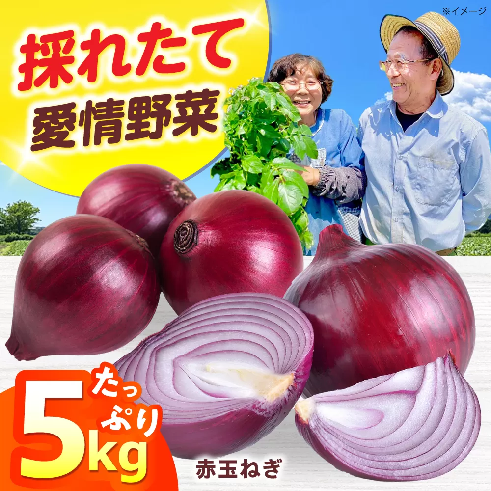 新鮮！しゃきしゃき！ 赤玉ねぎ 5kg （5月下旬から6月頃発送予定） 大阪府高槻市/高槻あぐり [AOCS023]