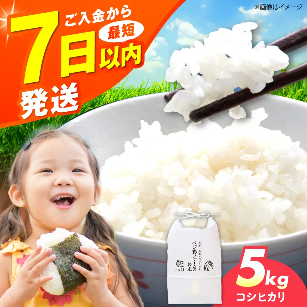令和6年産 お米 5キロ コシヒカリ こしひかり 米 お米 白米 コメ おこめ 5kg 大阪府高槻市/ベジ彩ファーム [AOEJ012]
