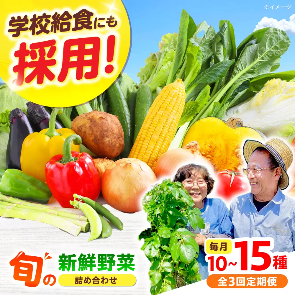 【全3回】【数量限定】厳選！旬を味わう高槻野菜おまかせ詰め合わせ定期便（10種〜15種）　大阪府高槻市/高槻あぐり [AOCS019]