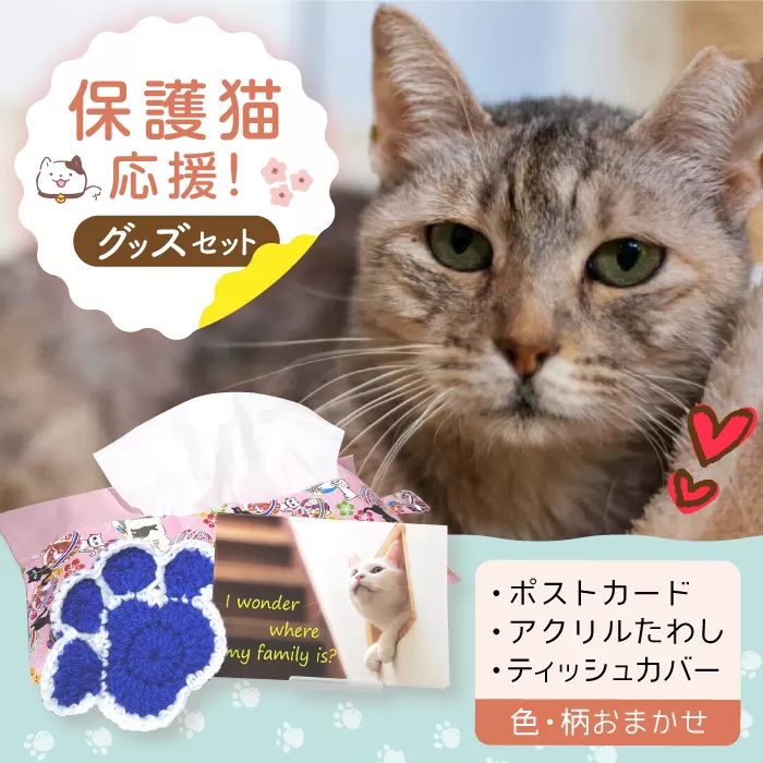 【保護猫応援!】グッズ3点セット ティッシュカバー・オリジナルポストカード・手作りアクリルたわし 猫 ねこ ネコ 保護 支援 動物愛護 大阪府高槻市/高槻ねこの会・ねこのおうち [AOBR009]