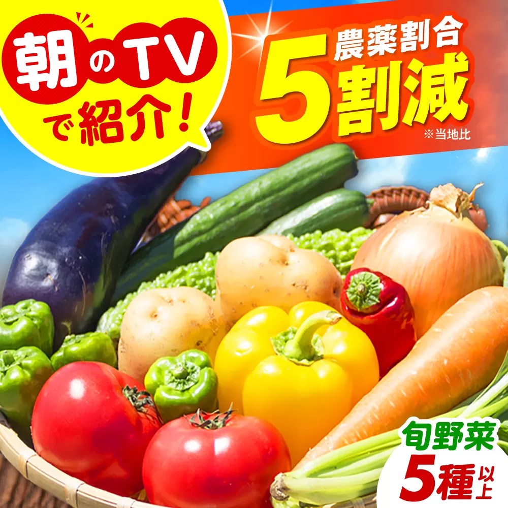 朝のTV番組で紹介された!旬のお野菜セット 詰合せ 詰め合わせ 新鮮 産地直送 おまかせ やさい 野菜セット 大阪府高槻市/ベジ彩ファーム [AOEJ004]