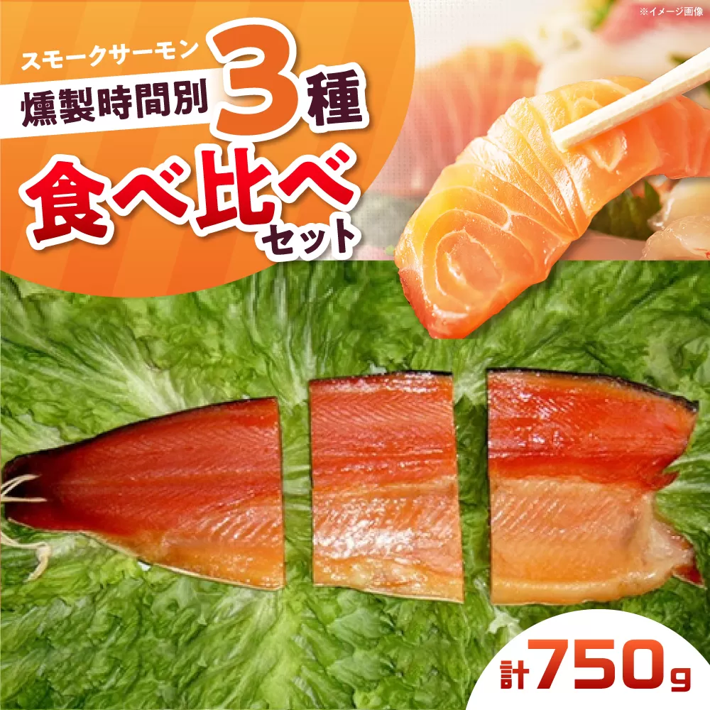 一番人気！スモークサーモンお試しセット 約750g 12時間・24時間・36時間燻製の詰め合わせ 冷凍 サーモン 鮭 さけ サケ 魚 燻製 スモーク 大阪府高槻市/スモークサーモンのウエマツ [AOEF001]