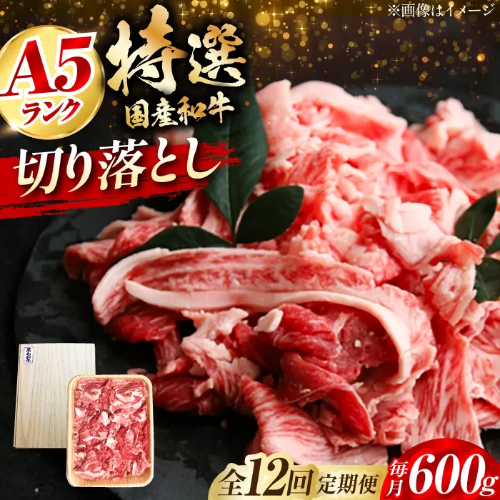 【全12回定期便】国産和牛切落し 600ｇ　大阪府高槻市/株式会社ミートモリタ屋 [AOAI025]