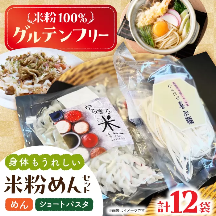高槻産 米粉 100％ 米粉めんセット 大阪府高槻市/株式会社高谷 米粉 麺 お米 グルテンフリー 小麦粉 [AOAW021]
