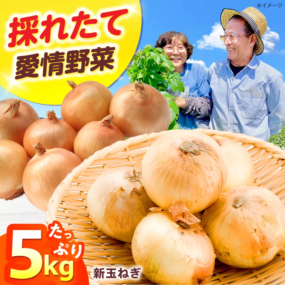 新鮮！しゃきしゃき！ 新玉ねぎ 5kg 七宝早生 （5月から6月頃発送予定） 大阪府高槻市/高槻あぐり [AOCS026]