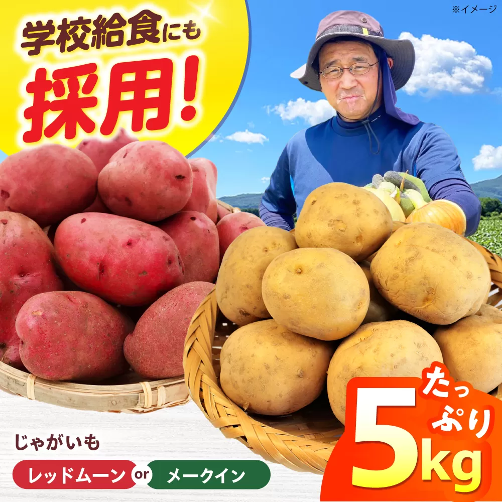 新鮮！ほくほく！ じゃがいも 5kg　メークイン　レッドムーン （5月下旬から6月頃発送予定） 大阪府高槻市/高槻あぐり[AOCS024] [AOCS024]