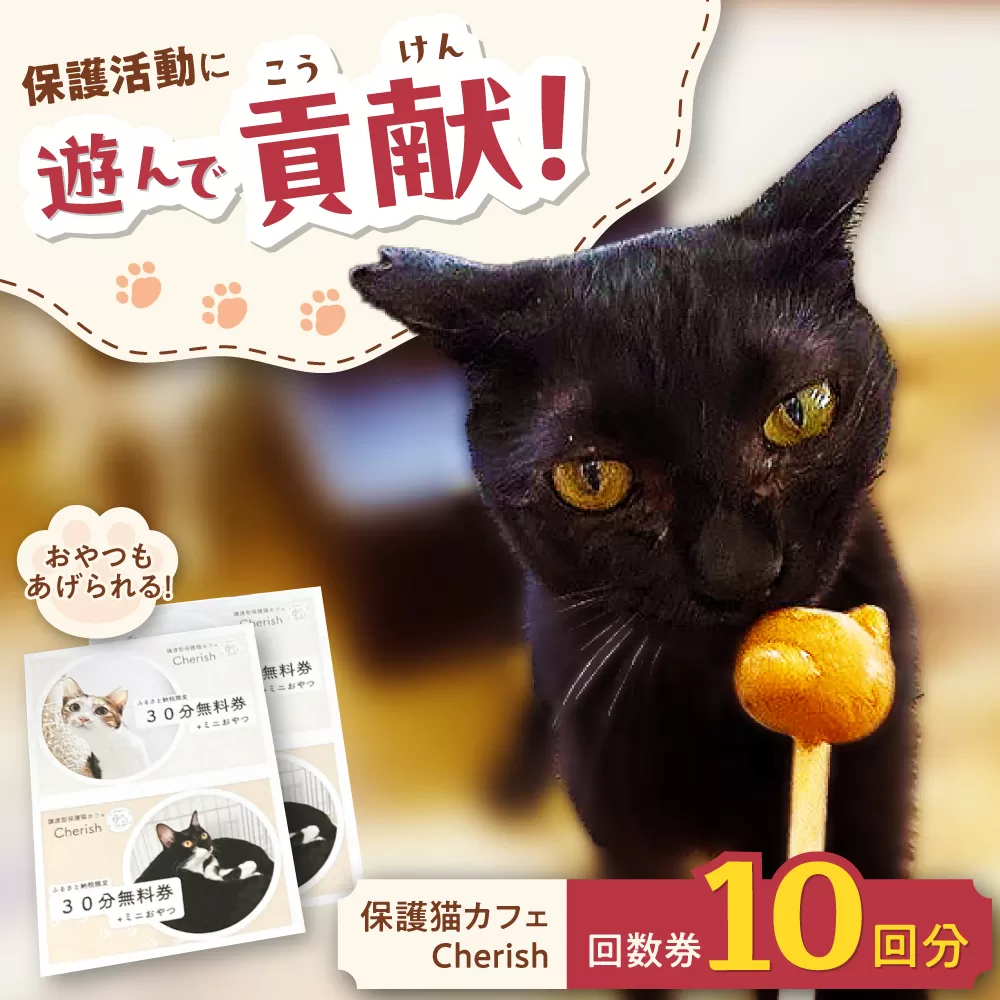 Cherish猫カフェ 回数券（10回分） 猫 ねこ ネコ 保護猫 支援 動物愛護 応援 大阪府高槻市／特定非営利活動Cherish [AODU002]