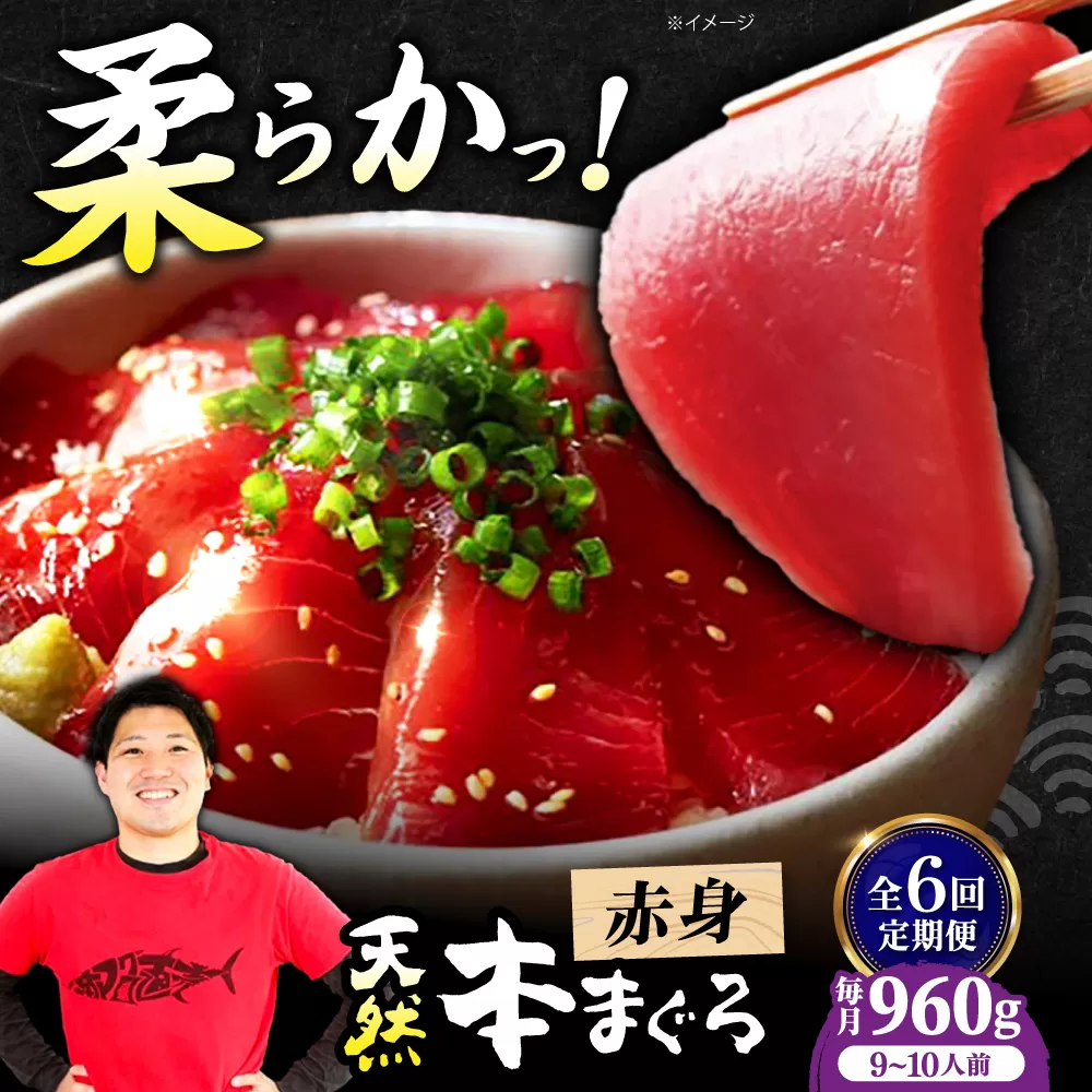 【全6回定期便】極上！たね熟天然本まぐろ赤身(960g) 天然 マグロ 鮪 赤身 刺身 魚 魚介 大阪府高槻市/本まぐろ直売所 [AOCE020]