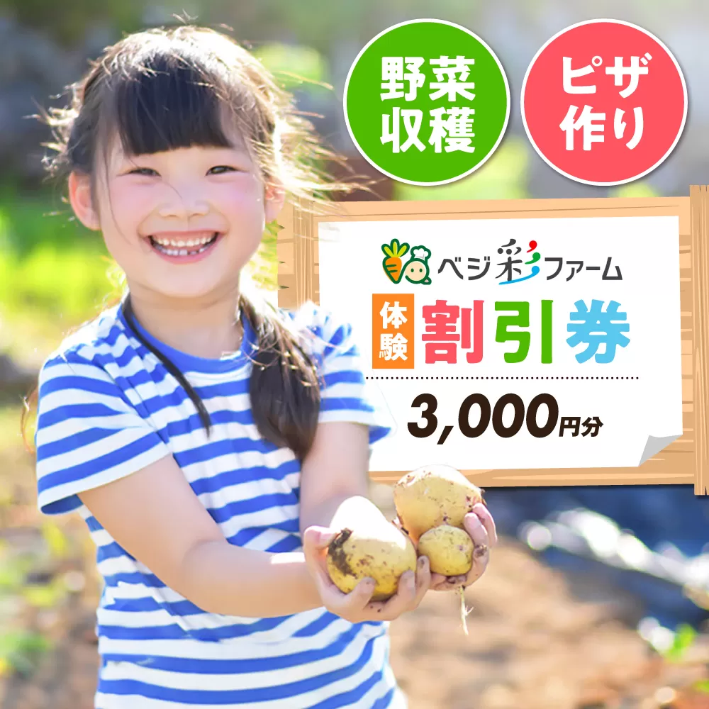 ベジ彩ファーム　割引チケット 3,000円分 体験 国内 野菜収穫 ピザづくり 親子体験 大阪府高槻市/ベジ彩ファーム [AOEJ001]