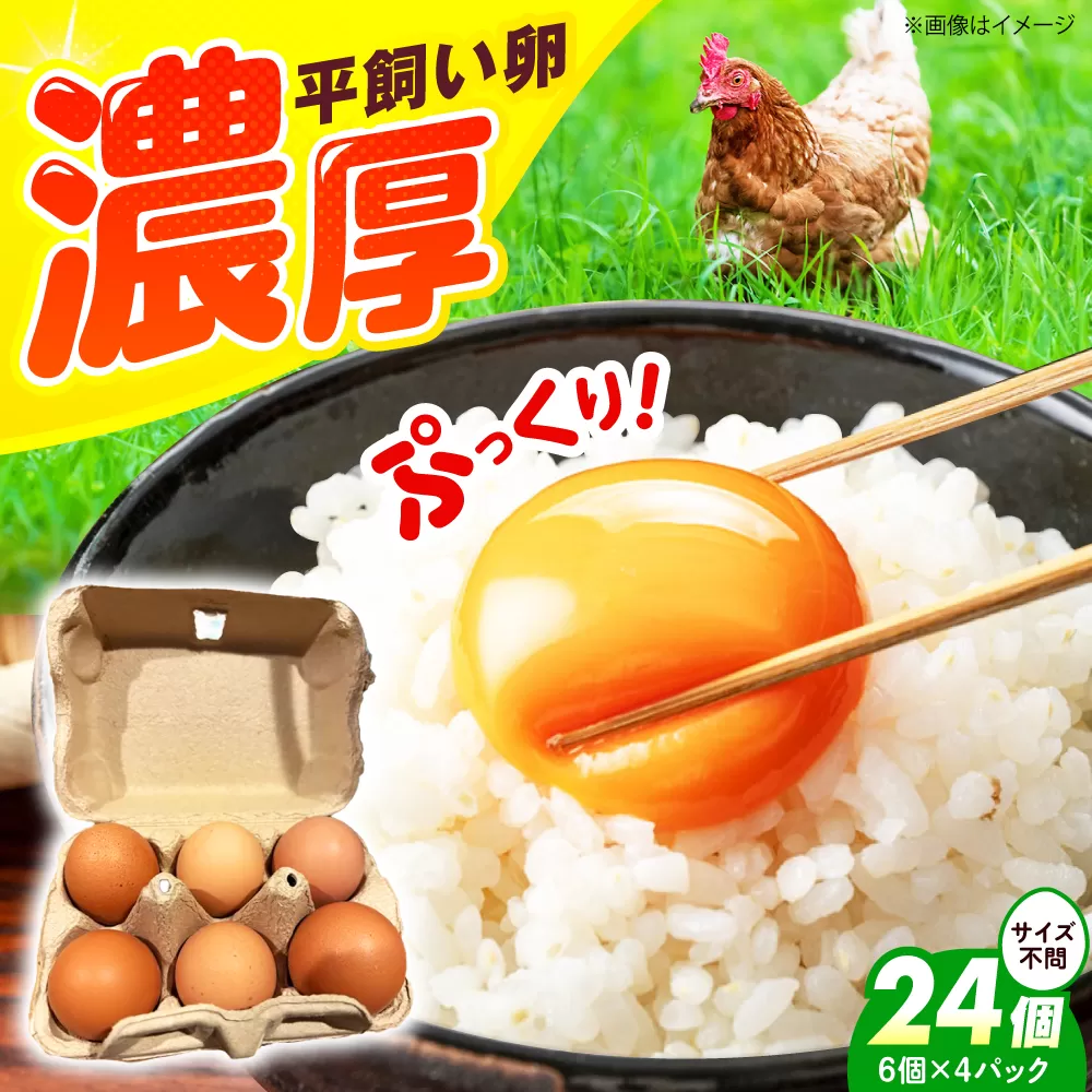 平飼い卵 24個セット たまご 卵 鶏卵 玉子 平飼い?タマゴ 新鮮 大阪府高槻市/ベジ彩ファーム [AOEJ003]