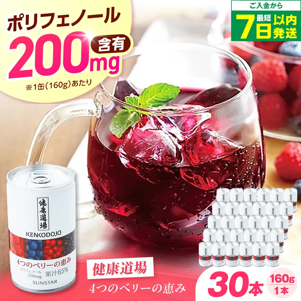 【最短7日以内発送】 健康道場 4つのベリーの恵み 160g×30本 ポリフェノール 健康飲料 飲料 果物 ブルーベリー ラズベリー ベリー 香料無添加 着色料無添加 保存料無添加 野菜ジュース まとめ買い 大阪府高槻市/サンスター [AOAD052]