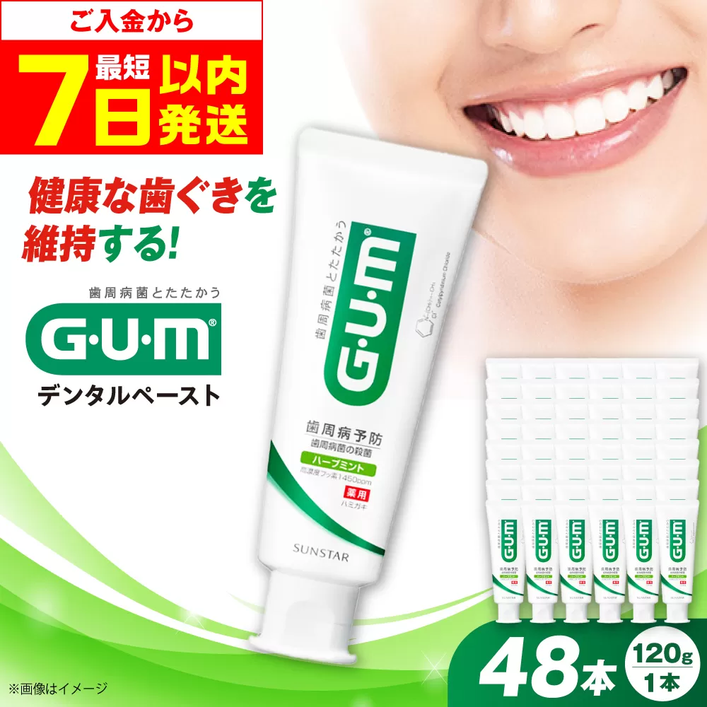 GUM デンタルペースト(ST) 120g×48本 歯磨き 歯みがき ハミガキ 歯周病 虫歯 口臭 大阪府高槻市/サンスター[AOAD011]
